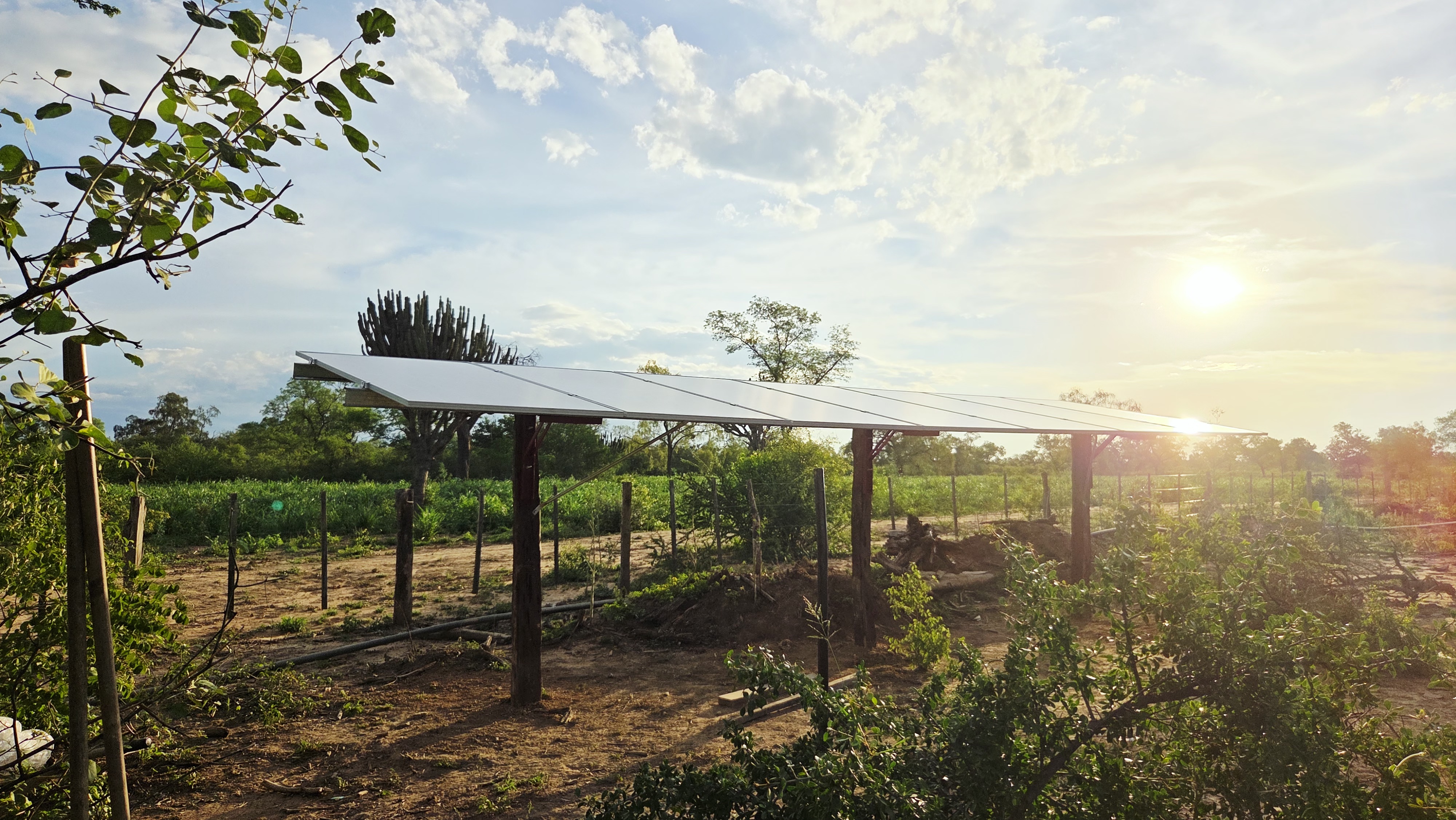Proyecto solar de WELSA en entorno rural